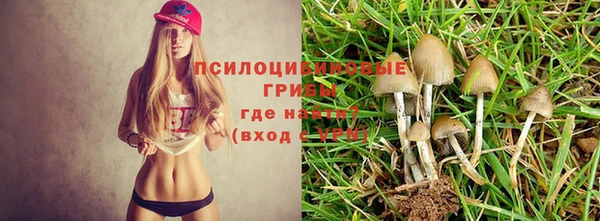 марихуана Алзамай